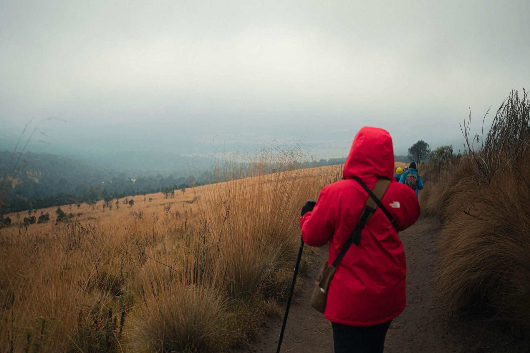 A hiker wearing a red hooded jacket walks along a misty trail bordered by tall golden grass.