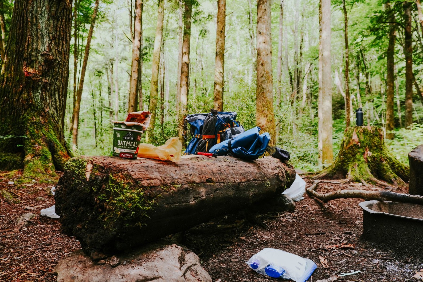 Camping gear and food supplies resting on a fallen log in a forest.